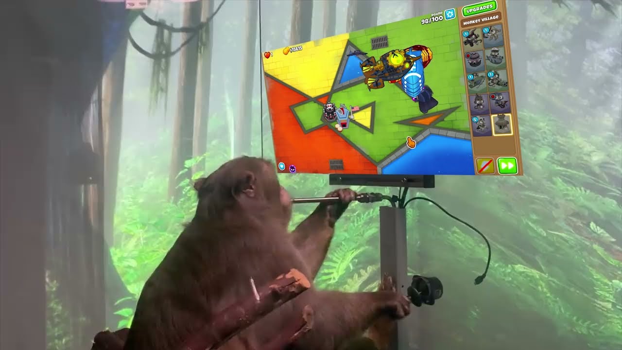 Neuralink Monkey Playing Bloons TD6 - Hard Challenge 1200000 (meme)
