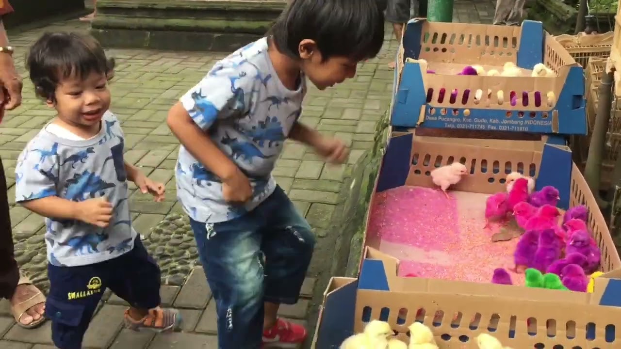Jalan-jalan Ke PASTY