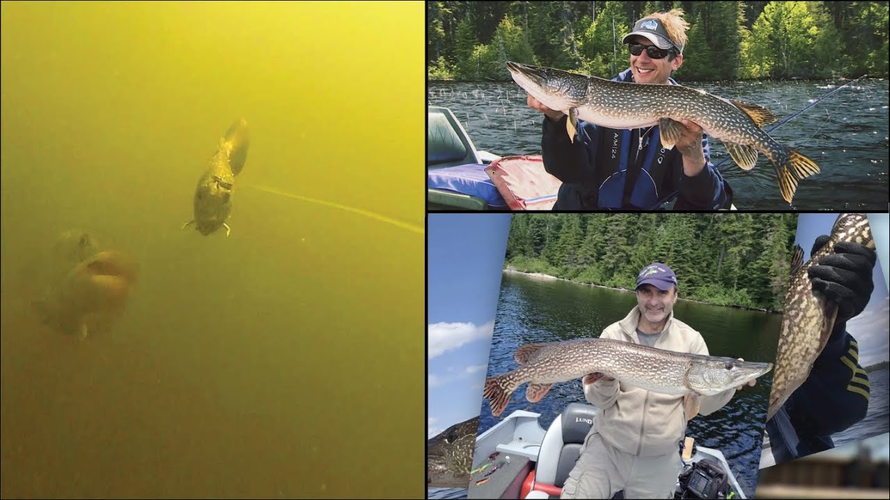 Quest for Ontario Monster Pike!