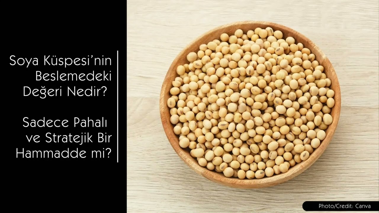 Soya Küspesi Analizi:  Hayvan Beslemede Vazgeçilmez Protein Kaynağı