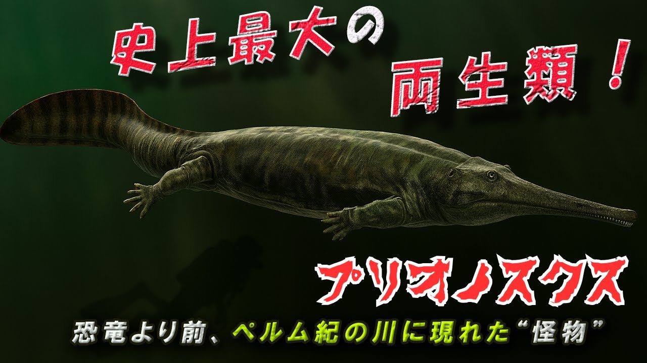 【ゆっくり解説】史上最大の両生類！？ペルム紀の“ワニ顔モンスター”プリオノスクスの正体