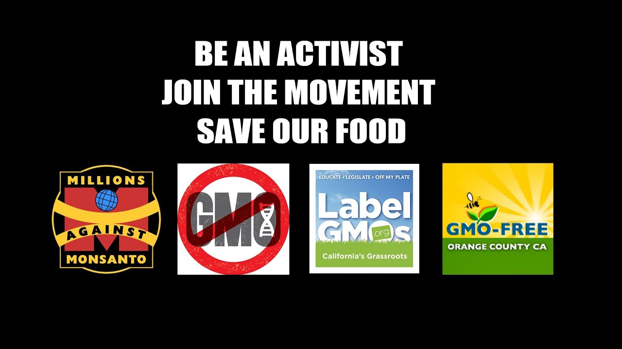 GMO Free Movement Takes on GMA