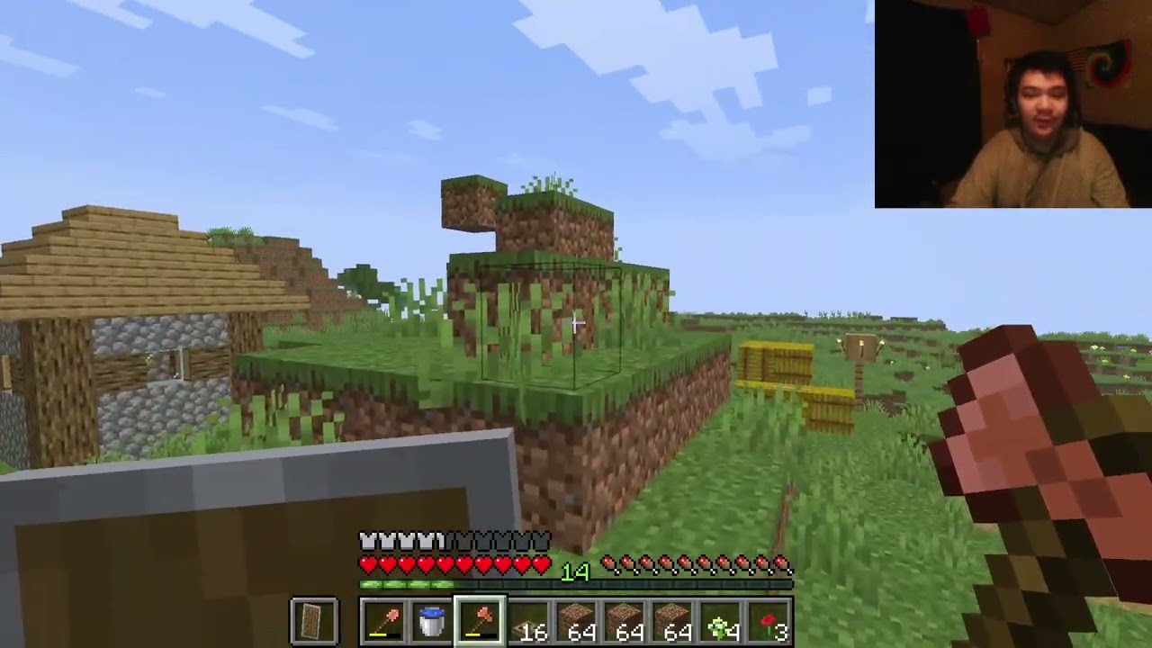 Lets play minecraft  ( day 3 )