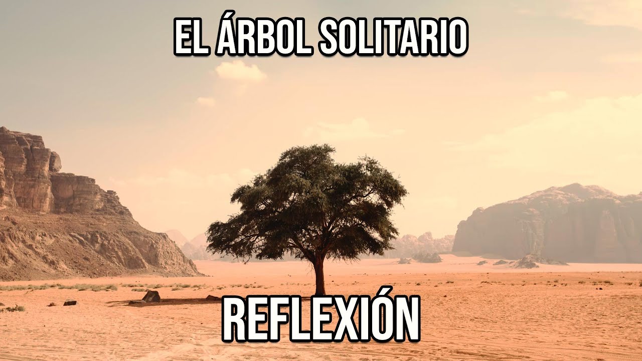REFLEXI&Oacute;N EL &Aacute;RBOL SOLITARIO, Reflexiones Diarias, Cortas, de Vida, del Alma, Mejor Persona, De Dios