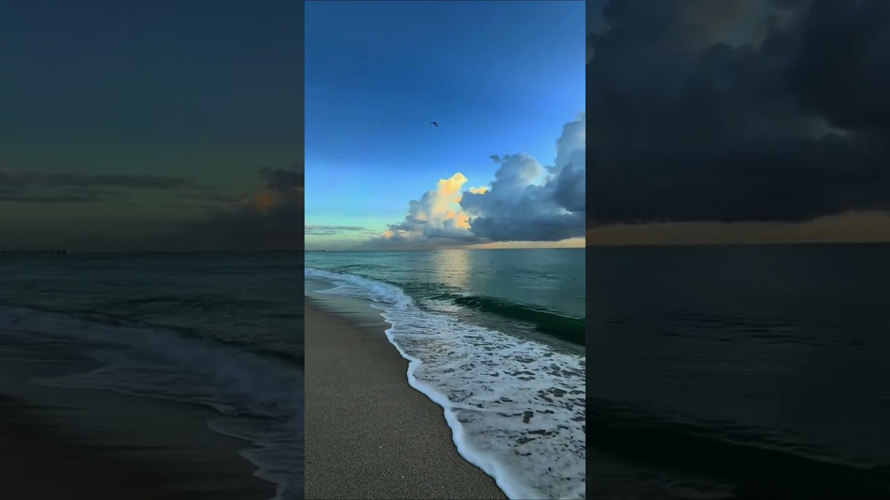 SINGURATICA-ALBUM-INAINTEA SCĂRILOR S-AU INVENTAT SCARILE!