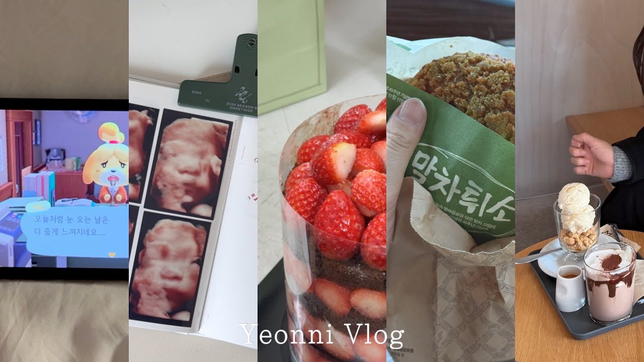27주 입체초음파 📸, 단백질 쉐이크와 영어 공부 어플 추천, 동물의 숲 업데이트 즐기기, 남편의 폴리오 마사지기 선물과, 성심당 임산부 혜택 받으러 대전 데이트 🧁