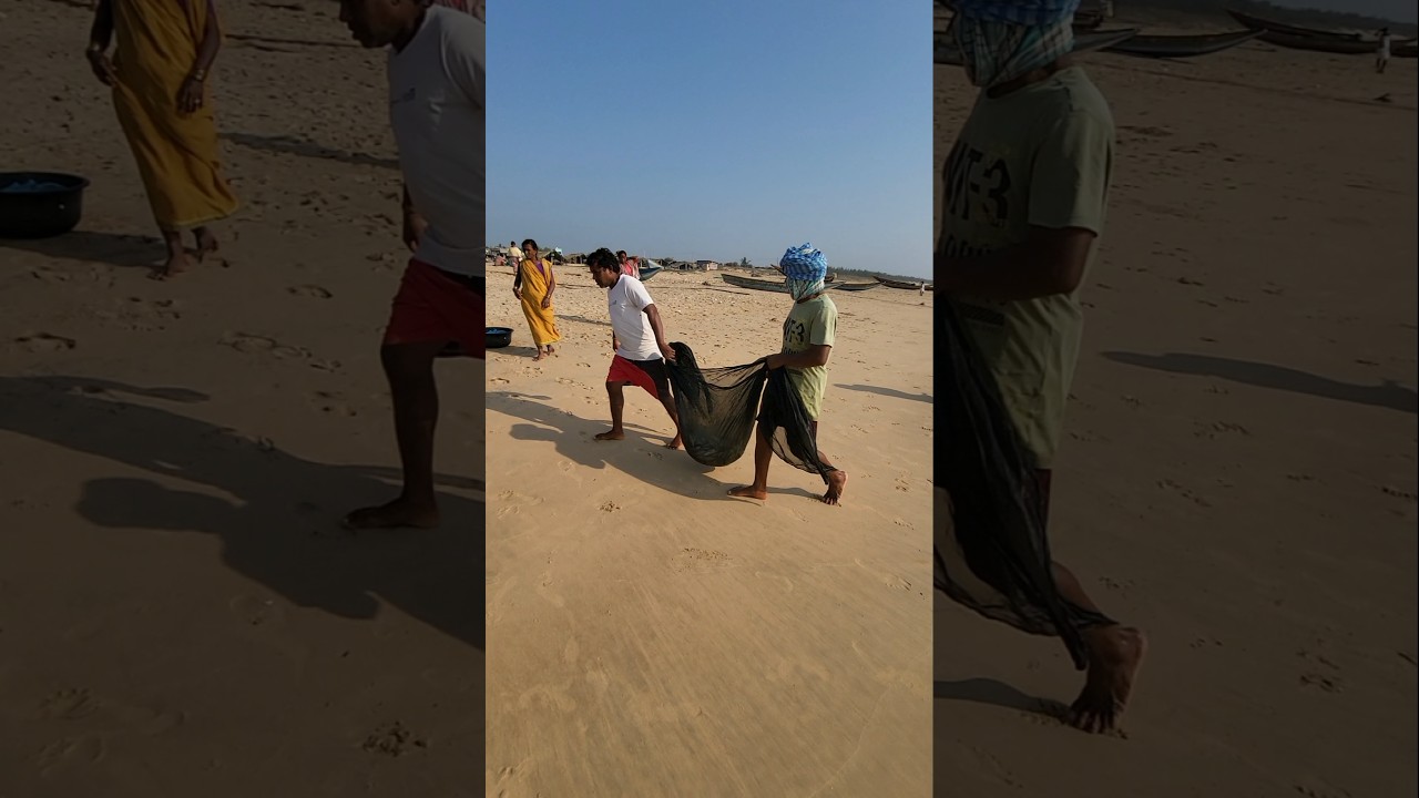 Vizag Fishing market