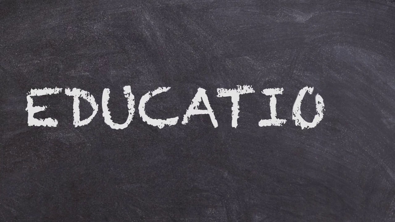 The Education System: Understanding The Machine