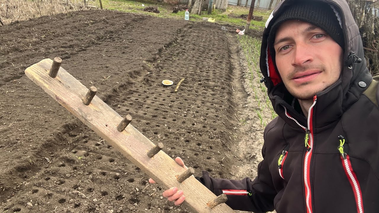 Вот так я сажаю лук, для этого я купил пылесос Proscenic!