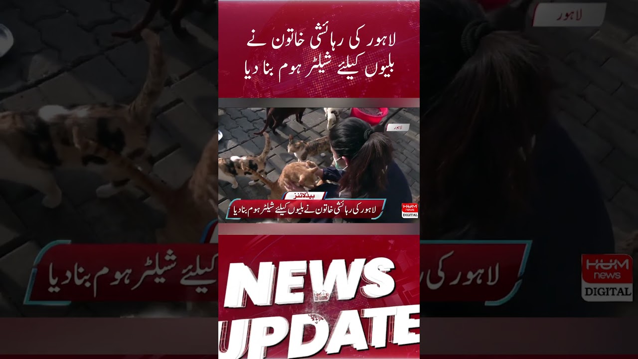 Lahore | woman built a shelter home for cats |
