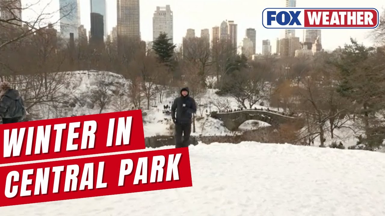 Powerful Snowstorm Devours New York City