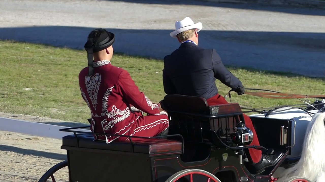 Lázár Vilmos - kettesfogathajtó világbajnokság, Lipica (Szlovénia), díjhajtás, 2017. szeptember 21.