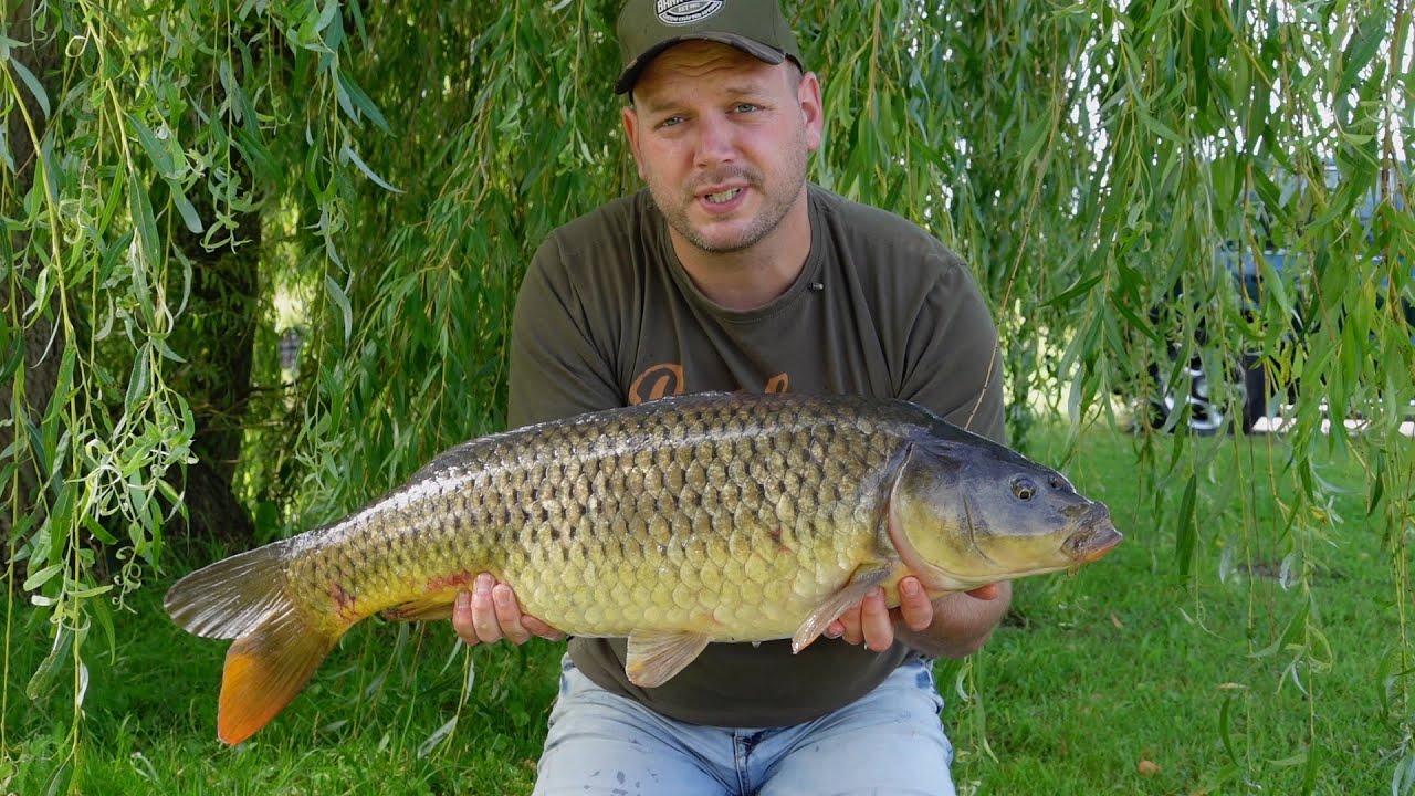 Karpervissen op het kanaal, dag sessie.