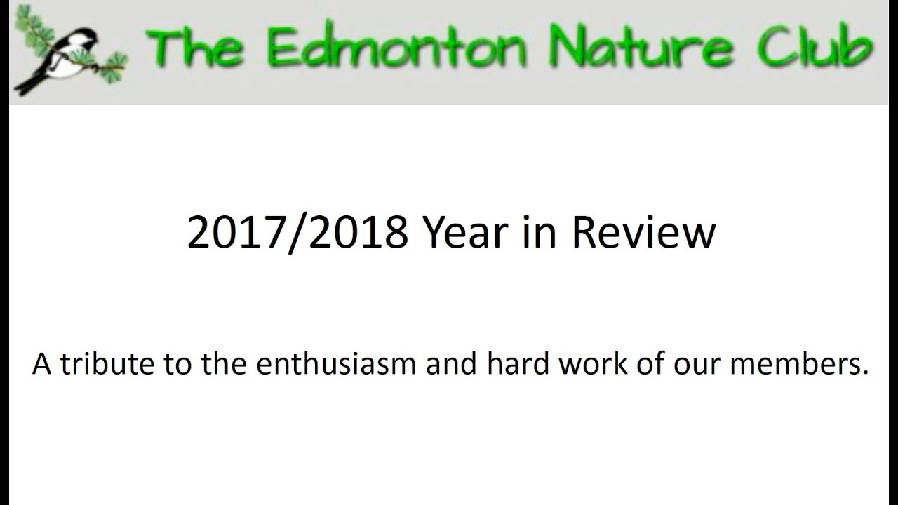 2017-2018 Year in Review