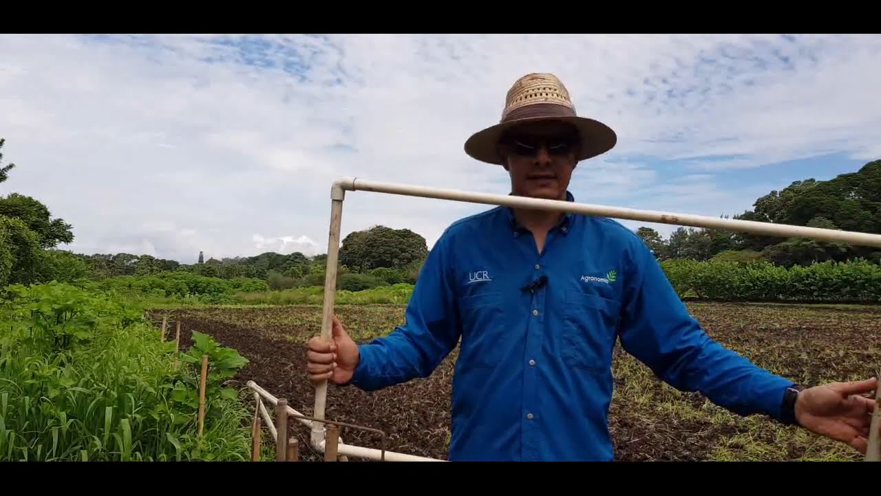 Evaluación de las malezas