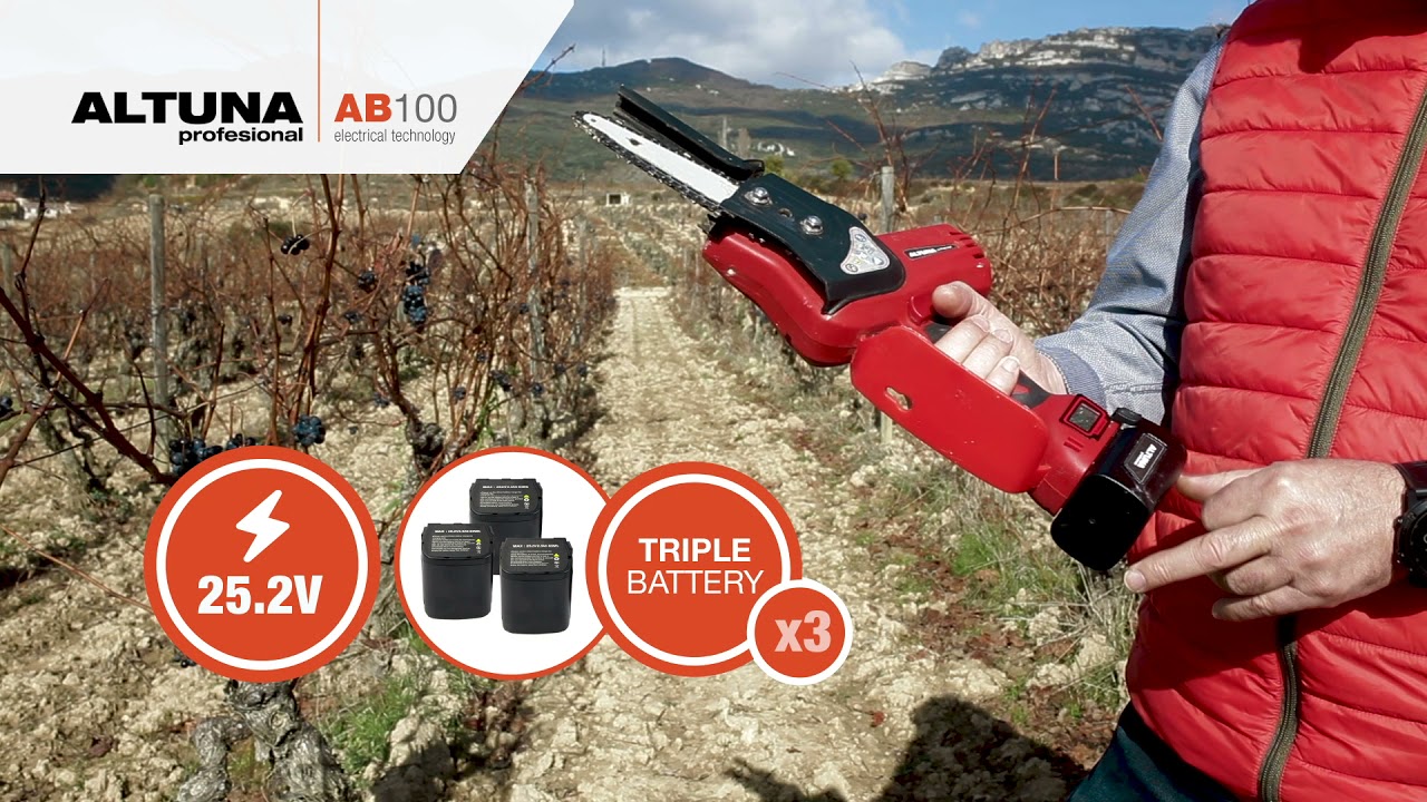 Cordless battery chainsaw ALTUNA AB100.