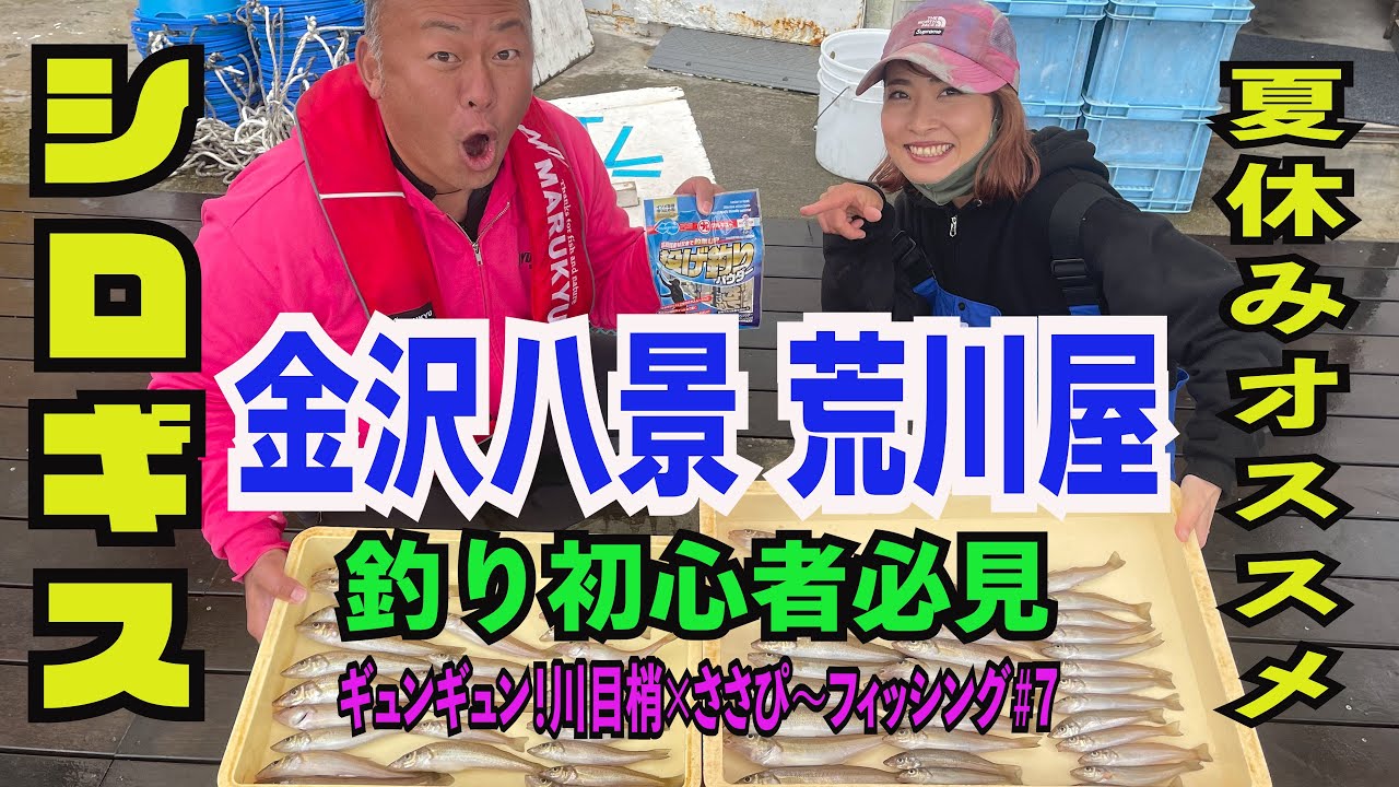 金沢八景 荒川屋 釣り初心者 必見！ シロギス ＃７ギュンギュン川目梢✖️ささぴーフィッシング 経路 駐車場 受付案内あり
