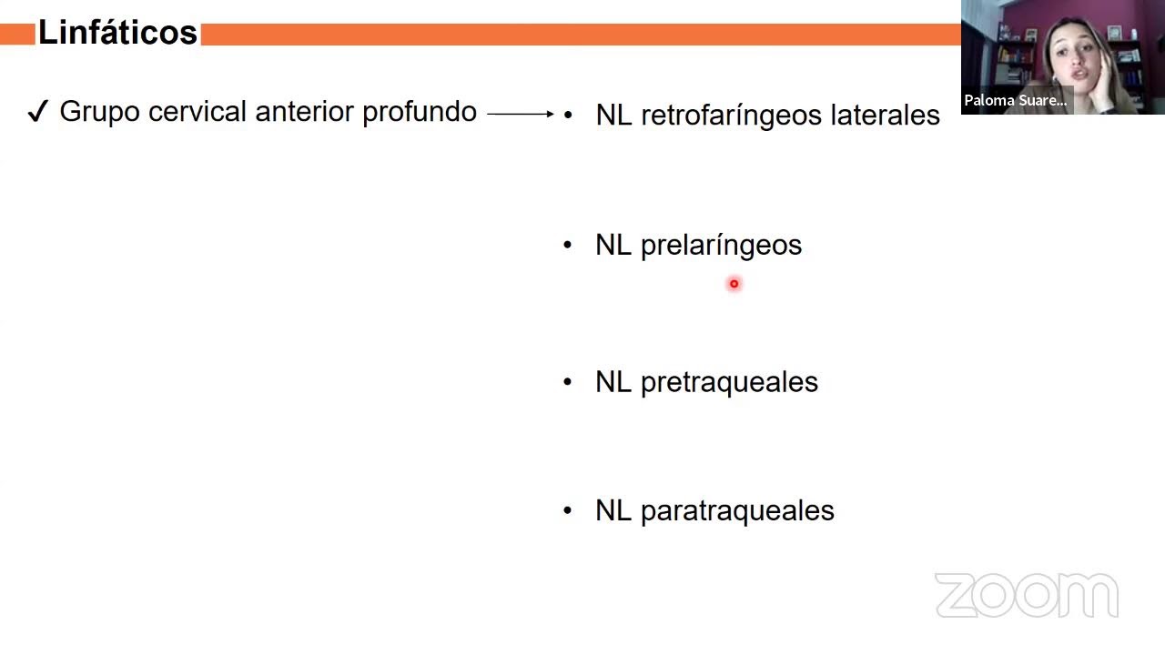 PARALELO DE ESPLACNOLOGÍA - CARA Y CUELLO I