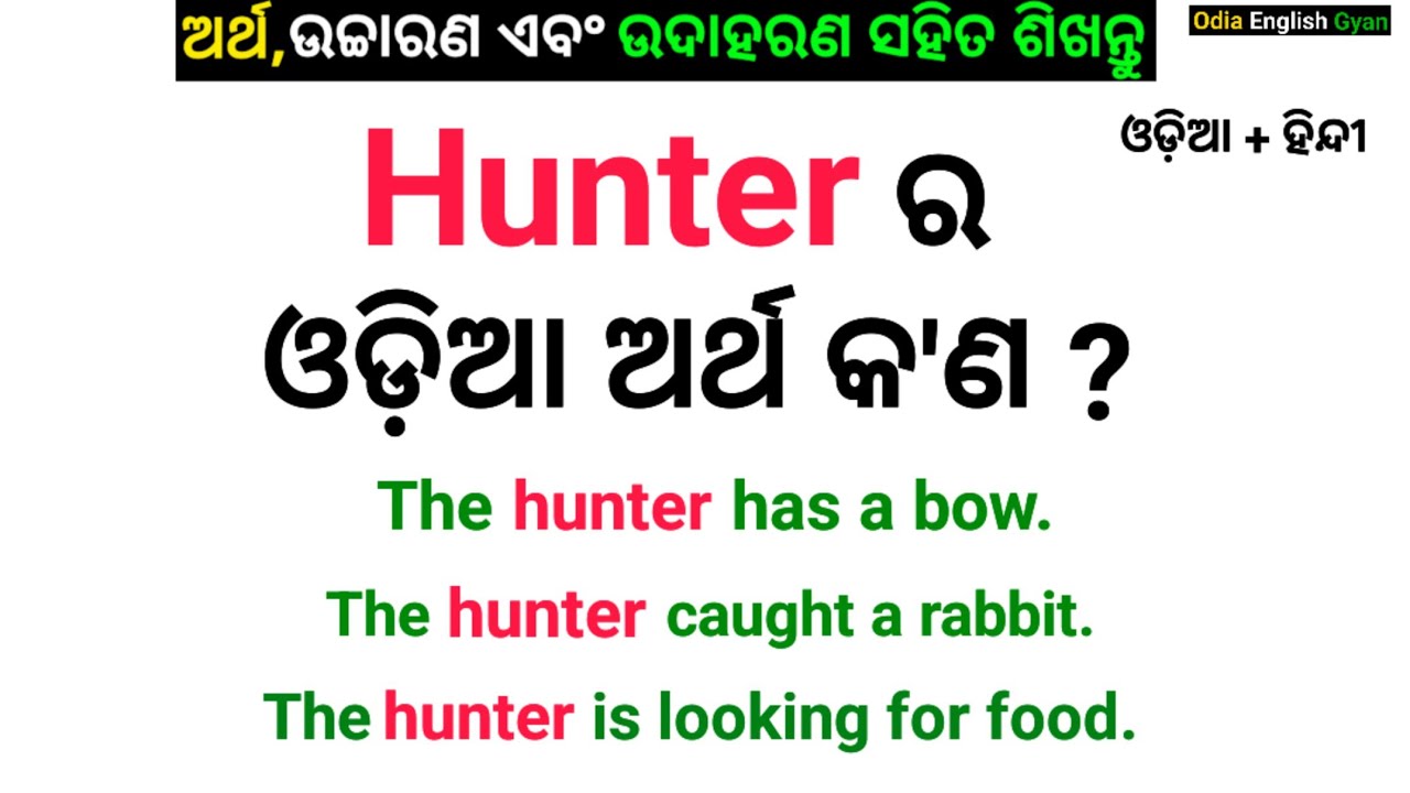 Hunter Meaning in Odia || Hunter Meaning in Oriya || Learn Vocabulary through Odia Language 
