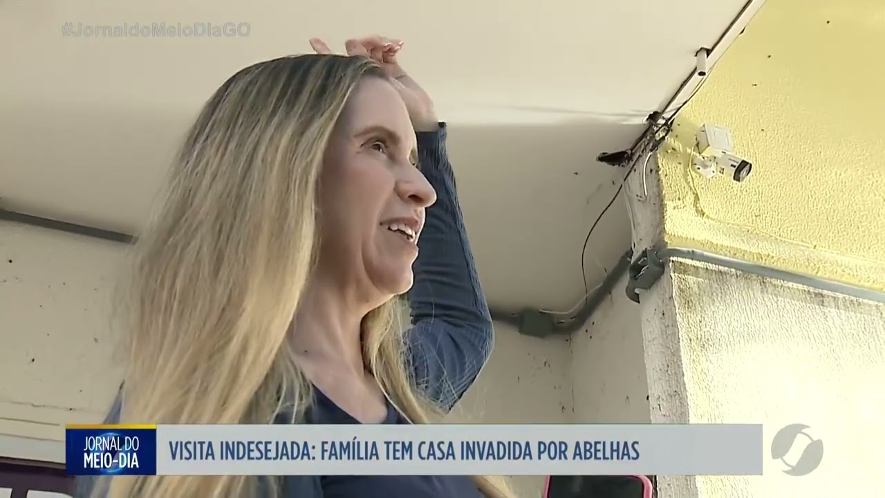 Família tem a casa invadida por abelhas em Goiânia