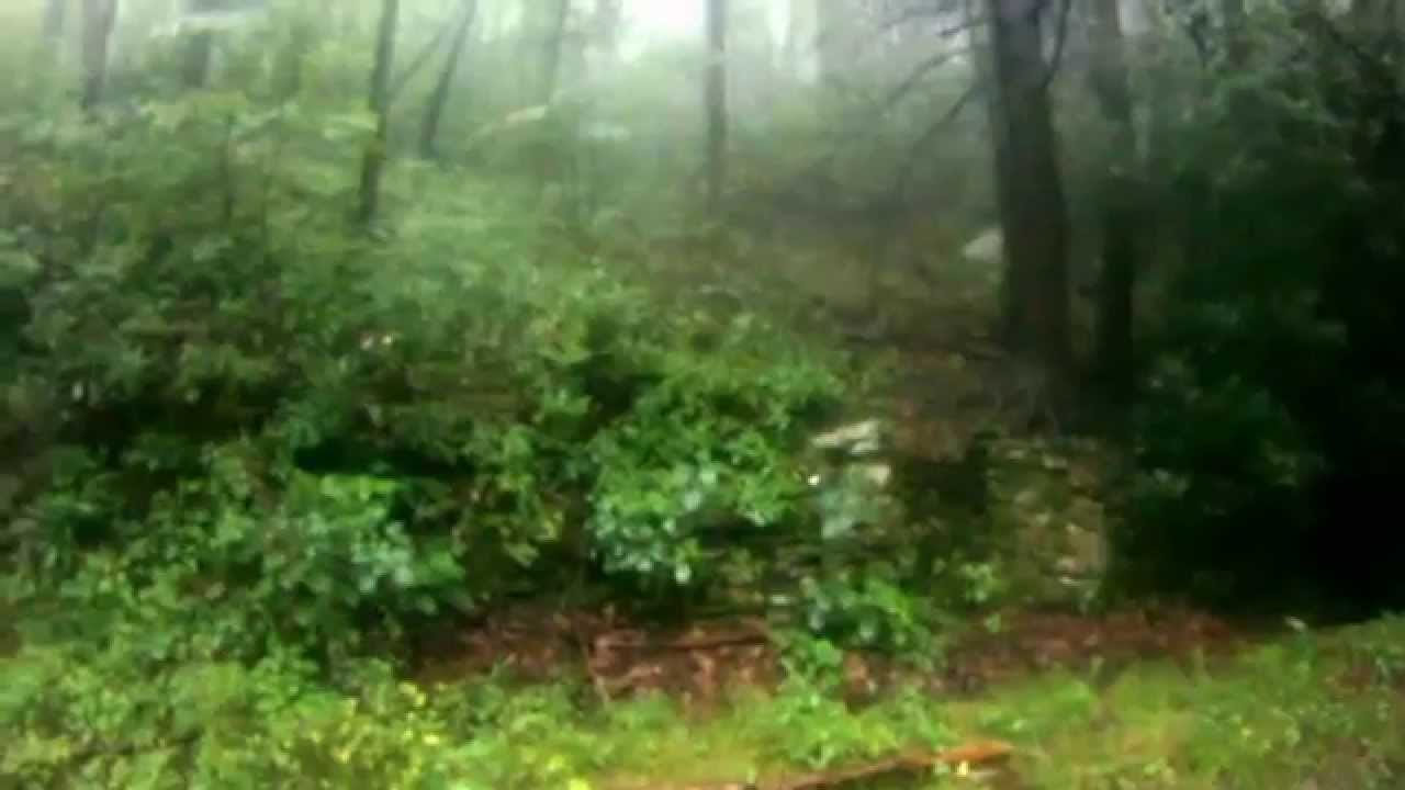 MST and Shut-In Trail Hike through Bent Creek