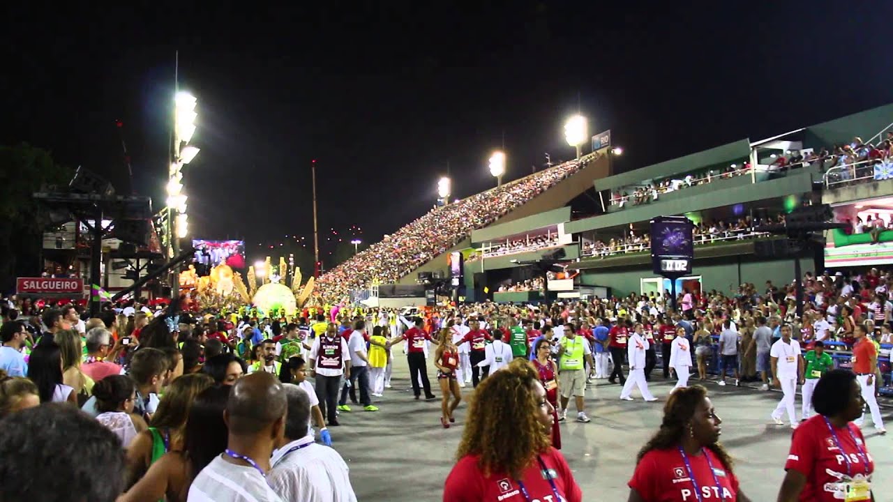 Entrada do Salgueiro na Sapucaí em 2014