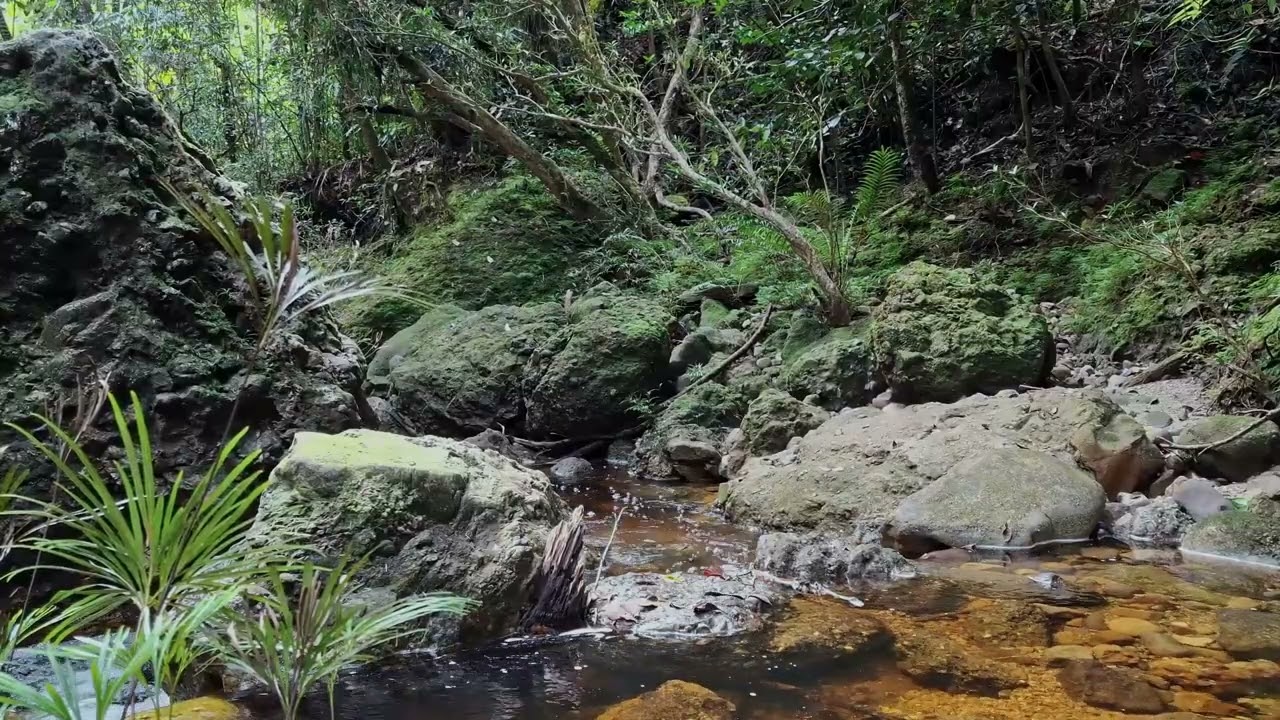 Gentle River Sounds for Deep Sleep | Ancient Water Ambience