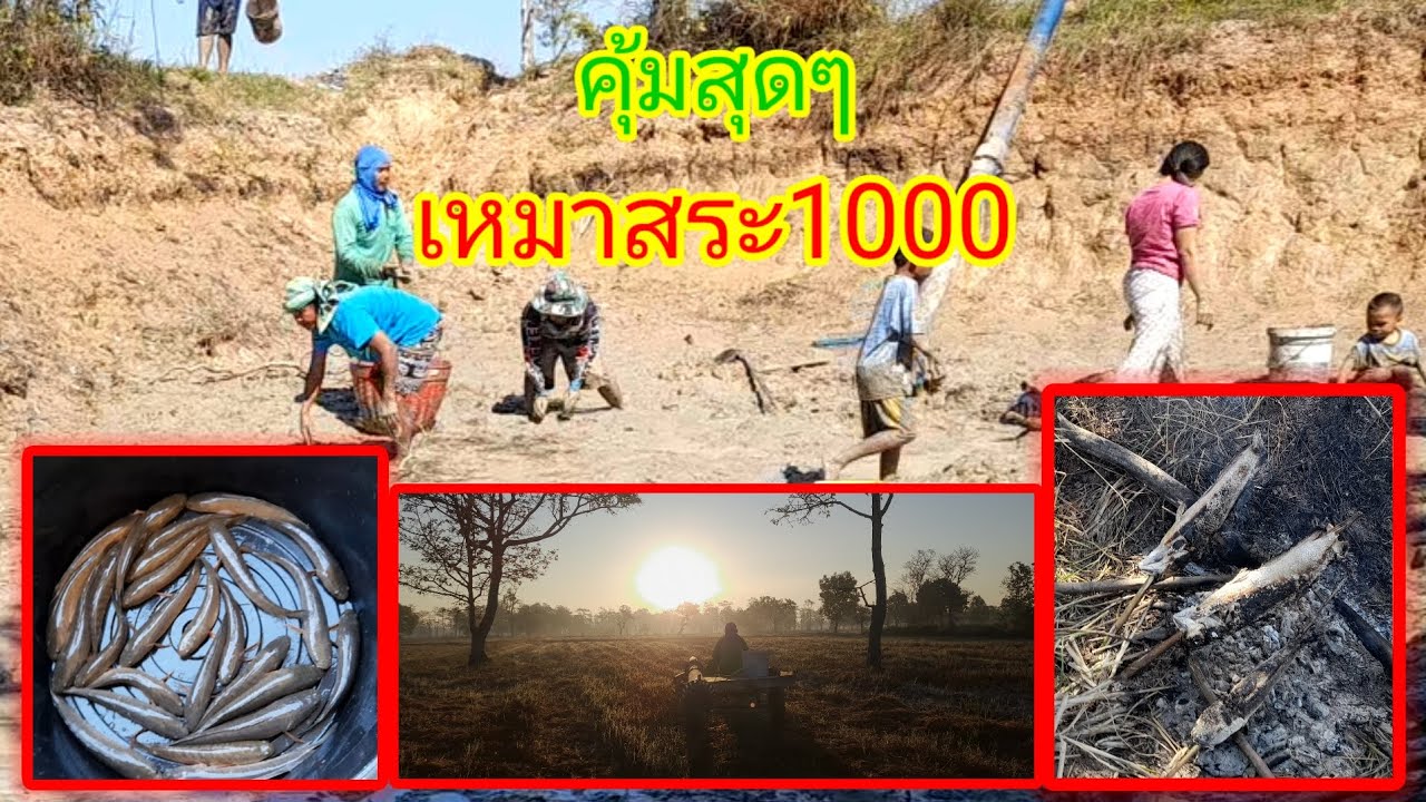เหมาสระ ราคา1000บาท สุดคุ้ม