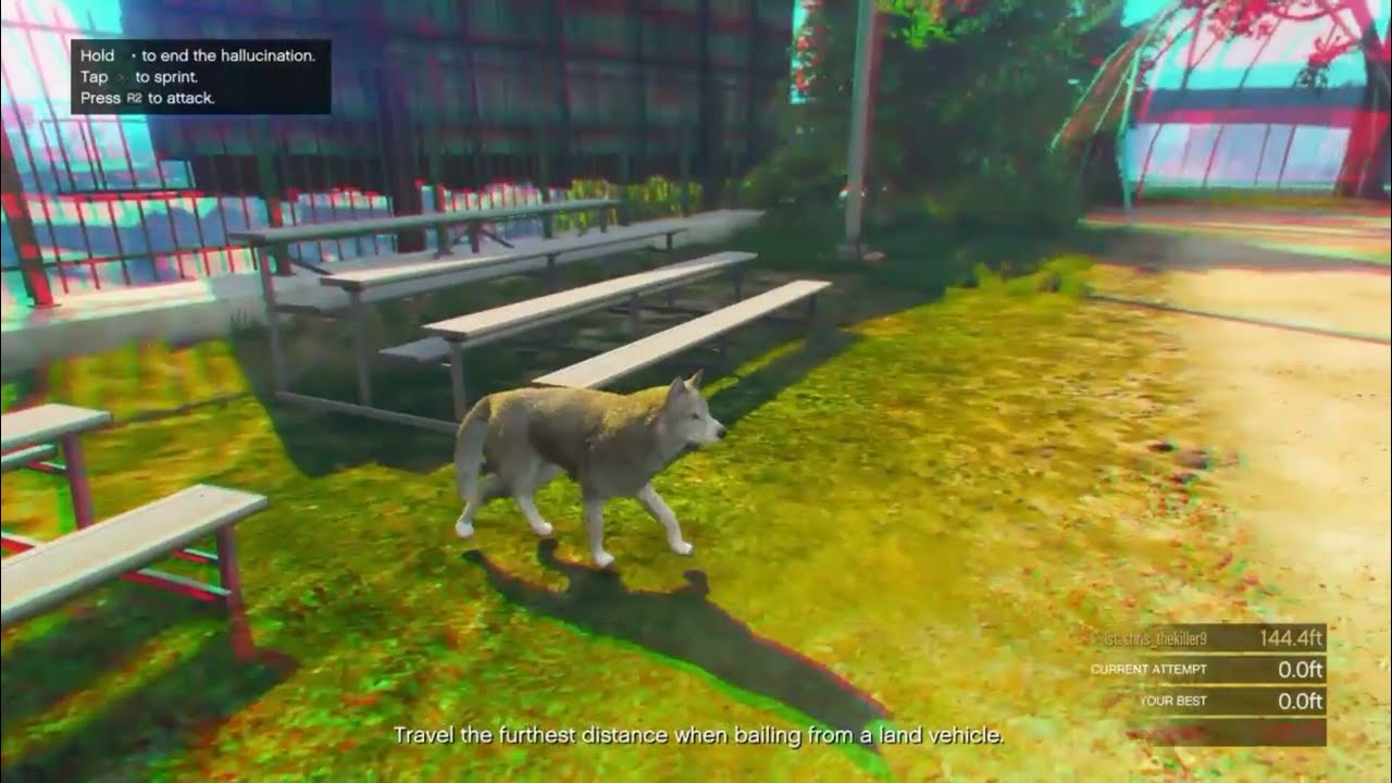GTA 5 Online - (Not Click bait)How to play as Story Mode characters and Animals Online!!