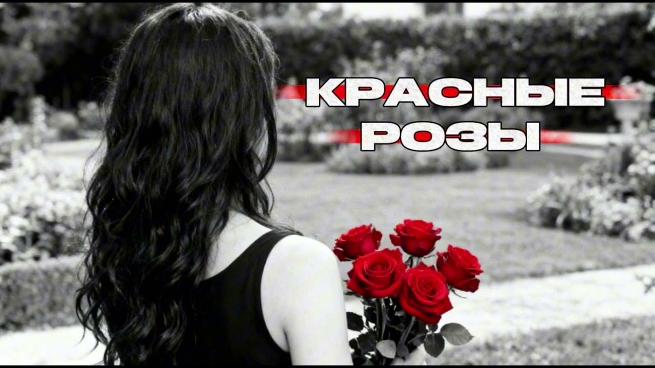 Красные розы 2026