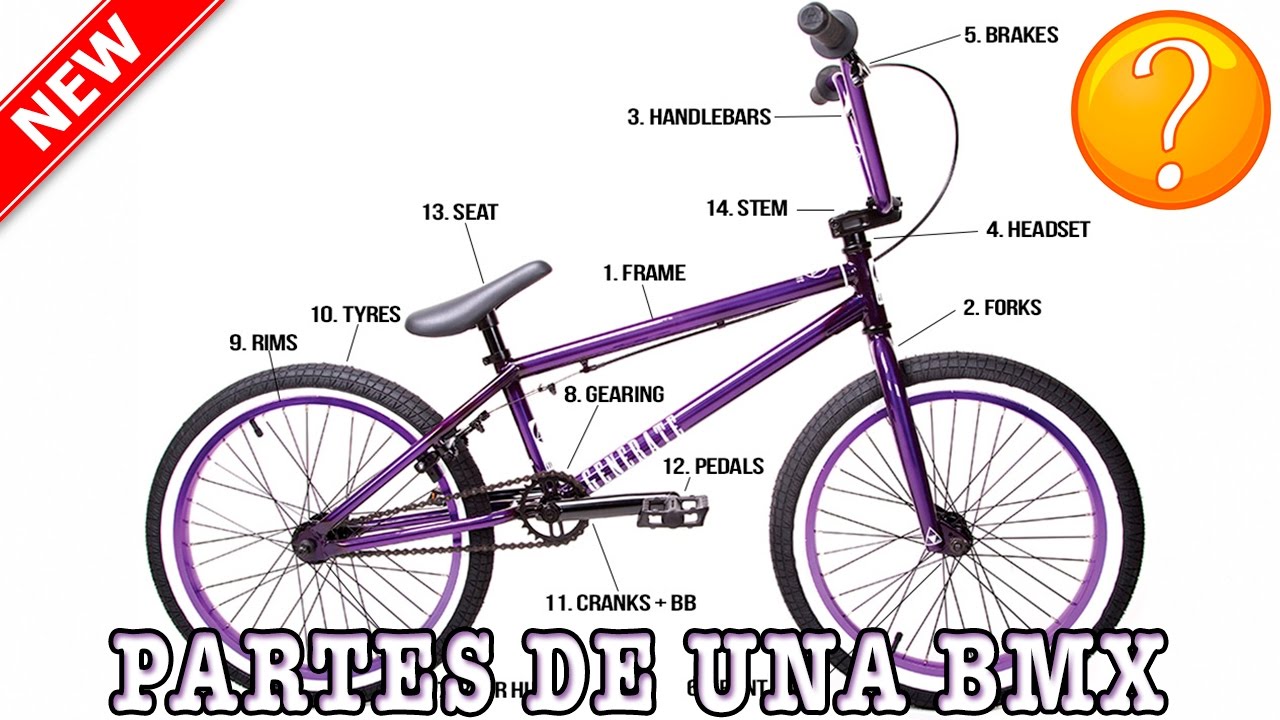 ENSEÑAMOS LAS PARTES DE UNA BMX EN PROFUNDIDAD