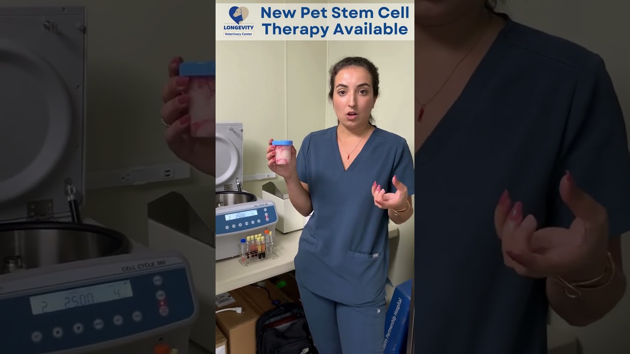 Pet Stem Cell at Longevity