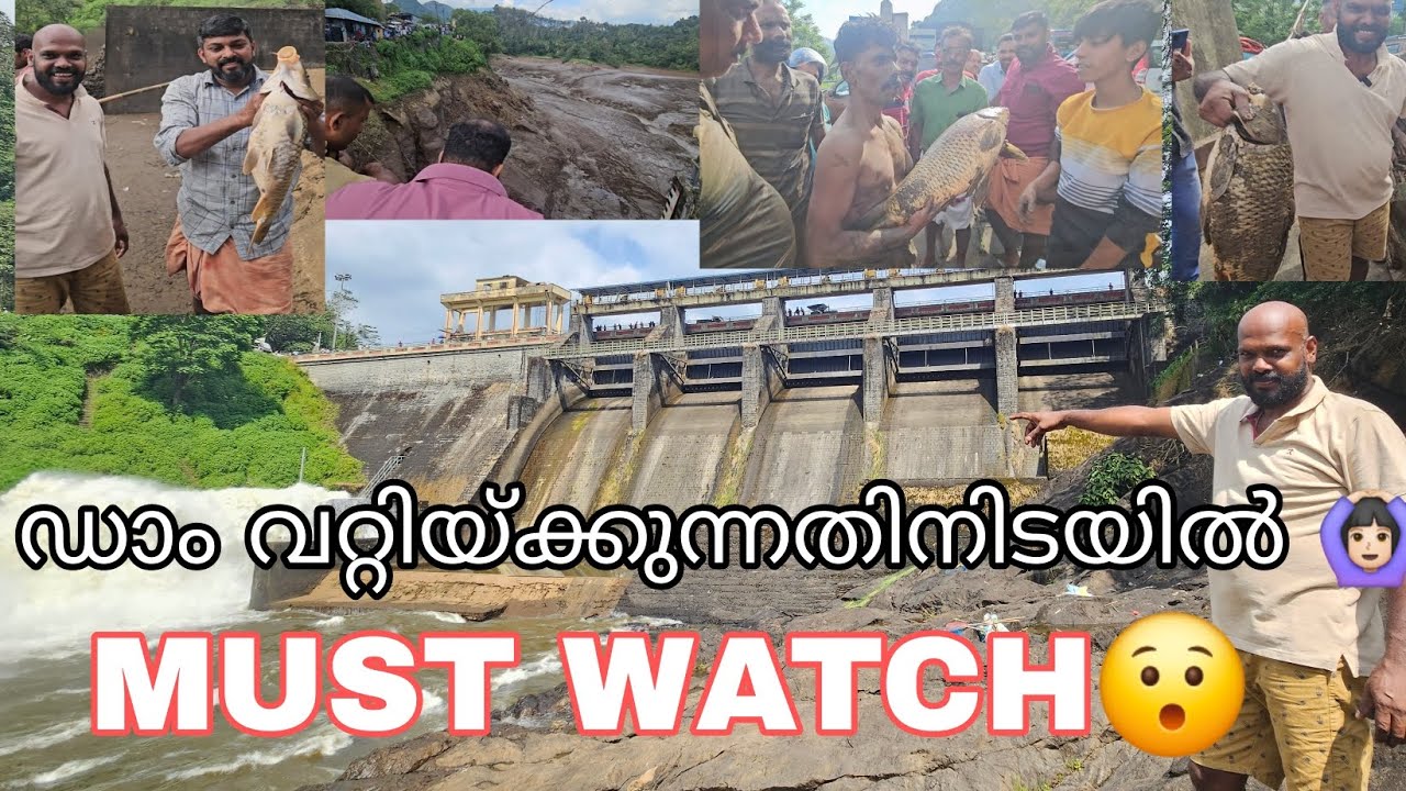 യൂട്യൂബിൽ ആദ്യമായി ഡാം വറ്റിച്ചു മീൻ പിടിക്കുന്ന വീഡിയോ#fishing #accident#kallarkitty#Dam#idukki#