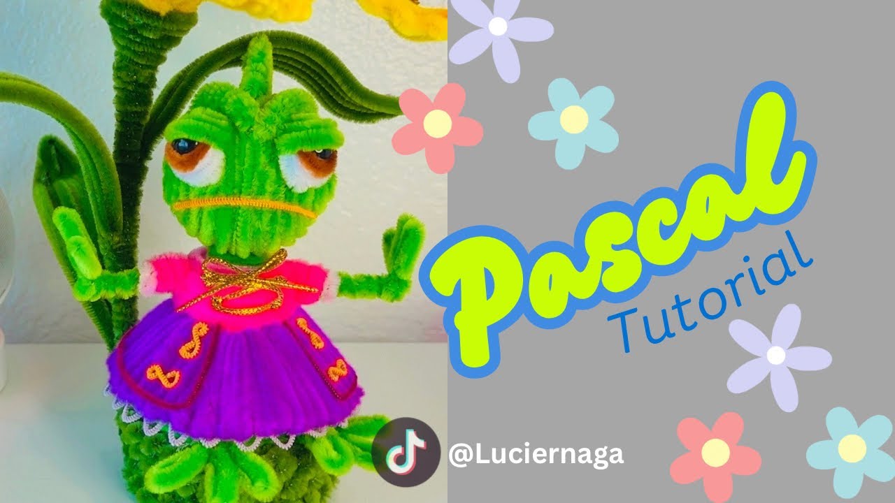 PASCAL LIMPIA PIPAS TUTORIAL