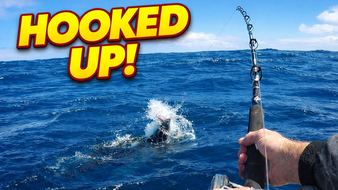 Все поймали тунца! Эпическая рыбалка на тунца на мысе Кейп-Пойнт 🎣 #РыбалкаНаТунца #МысКейп-Пойнт