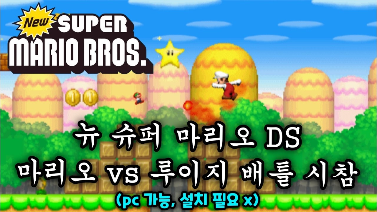뉴 슈퍼 마리오 DS: 마리오vs루이지 시참 배틀! (pc 가능, 설치 불필요)