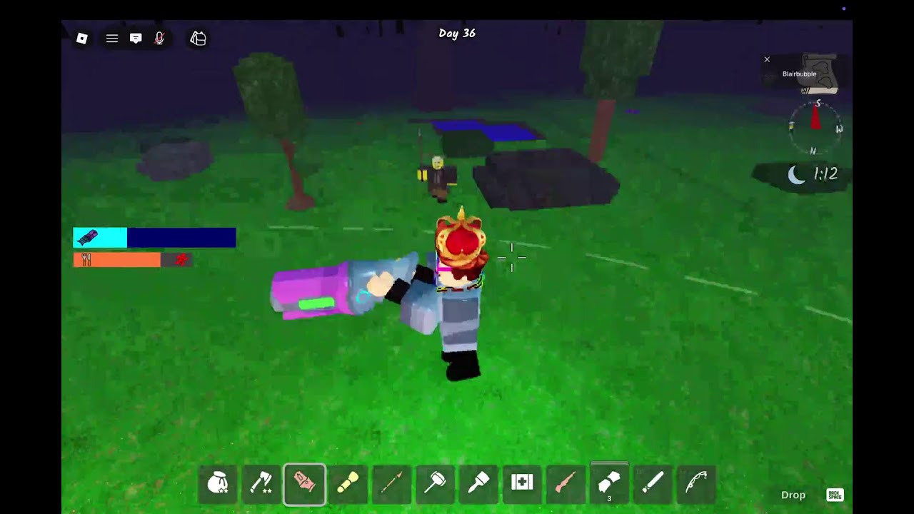 Playing Roblox