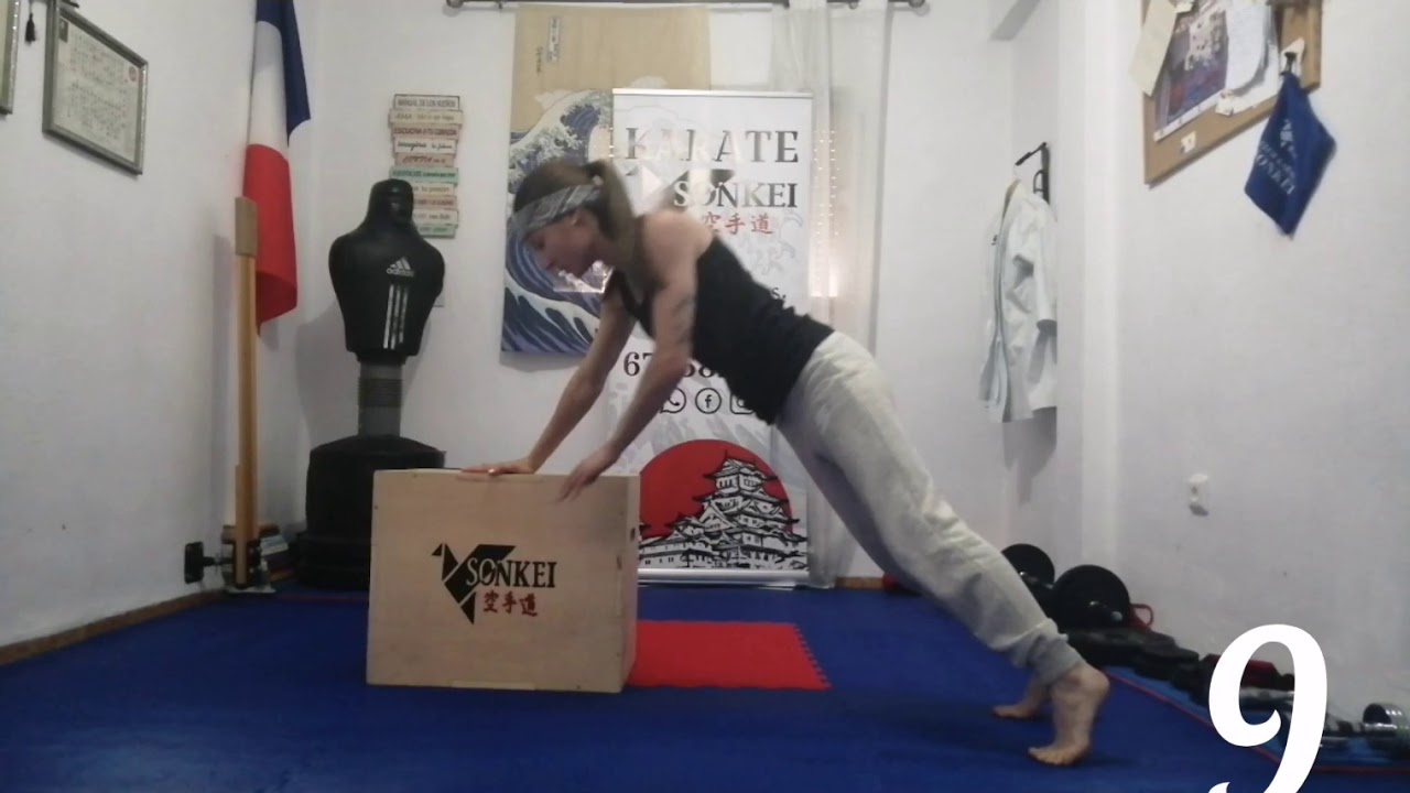 Pliometría tren superior. Karate.