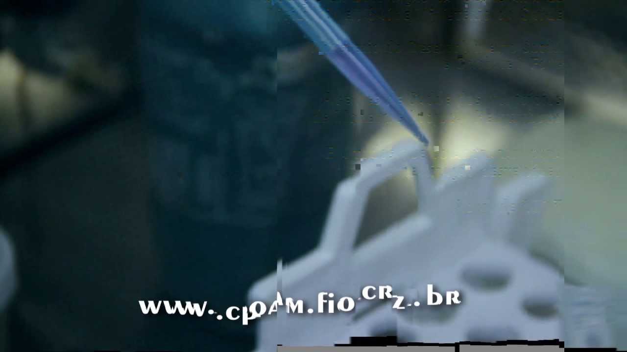Filariose