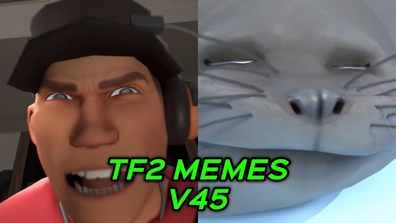 TF2 MEMES V45