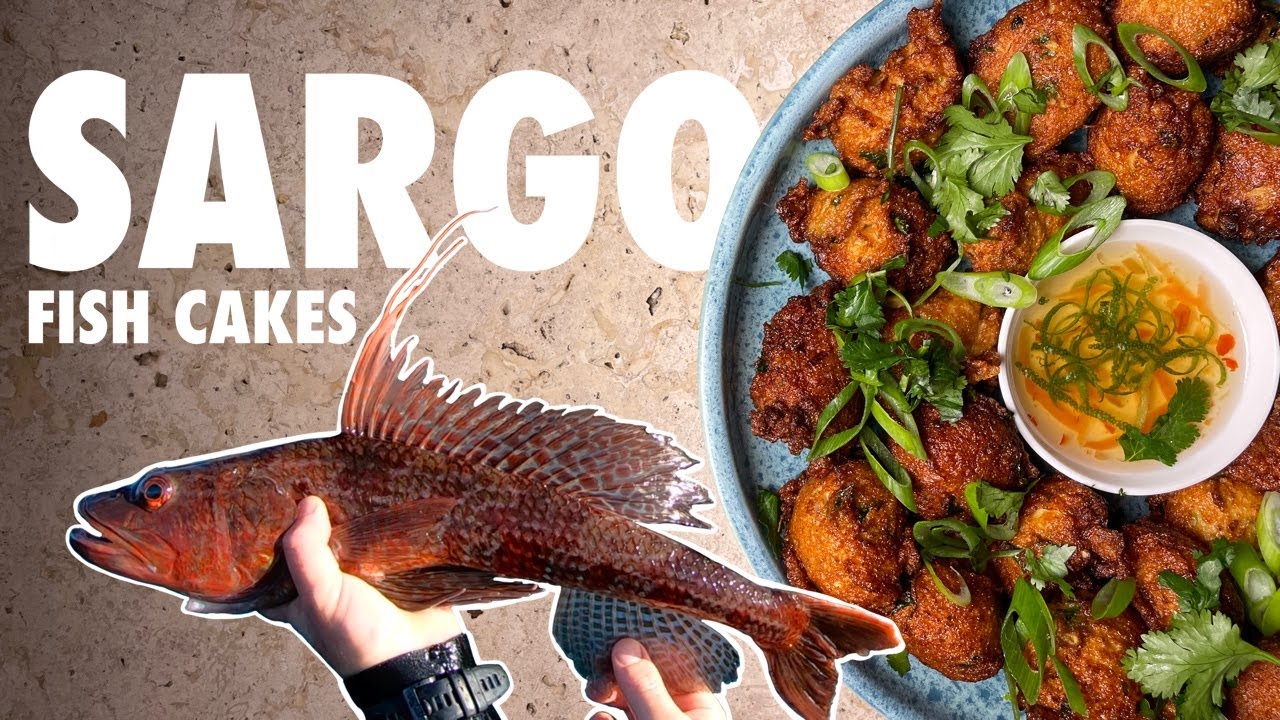 How to Catch Clean and Cook Sergeant Baker (Dragon Snapper)