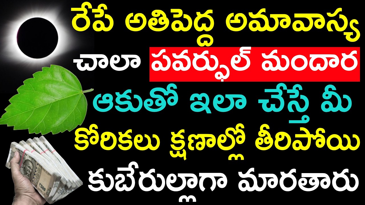 రేపే అతిపెద్ద అమావాస్య చాలా పవర్ఫుల్ మందార ఆకుతో ఇలా చేస్తే మీ కోరికలు క్షణాల్లో తీరి కుబేరులవుతారు