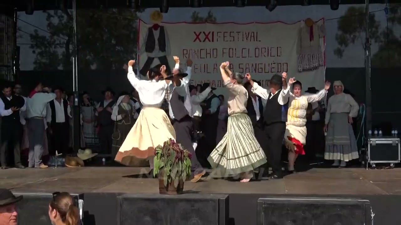 Rancho Folclórico S. Eulália de Sanguedo, Stª Mª da Feira, 2025 (6)