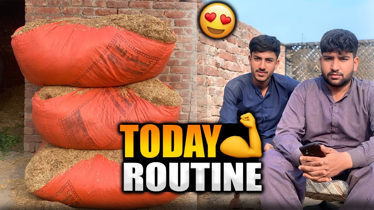 Today Routine | Real Village Life Vlog | Desi Boys Daily Routine
