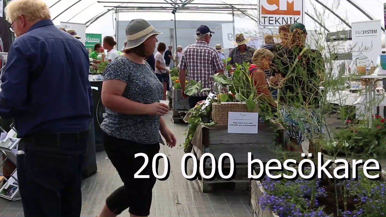 V&auml;lkommen till Borgeby F&auml;ltdagar 2019!