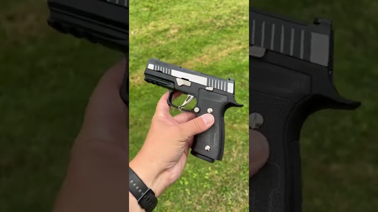 Sig Sauer P320 AXG Equinox 9MM 3.9&Prime; 17Rd 2-Tone