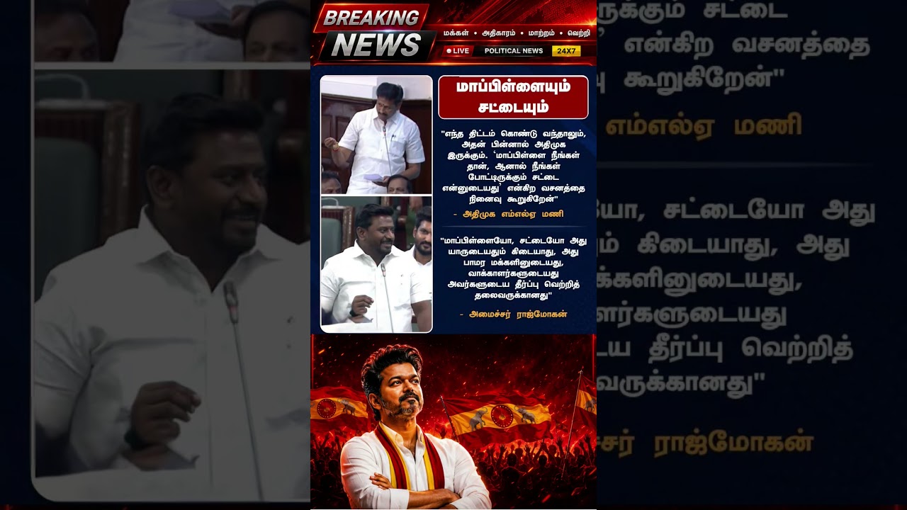 TVK || manadu #thalapathyvijay #thalapathy #youtubeshorts #shorts #fyp #vijay#jananayagan#cmvijay ✨💞
