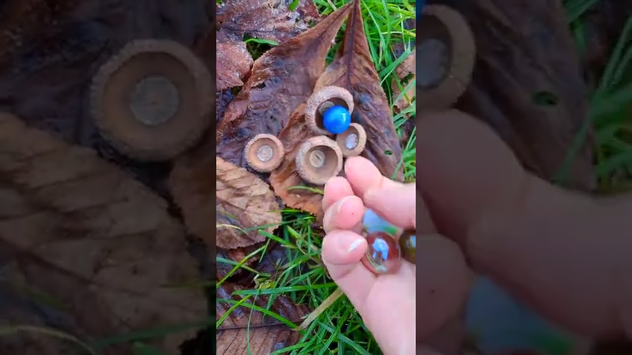 ASMR Nature | Fall Leaves With Acorn Caps