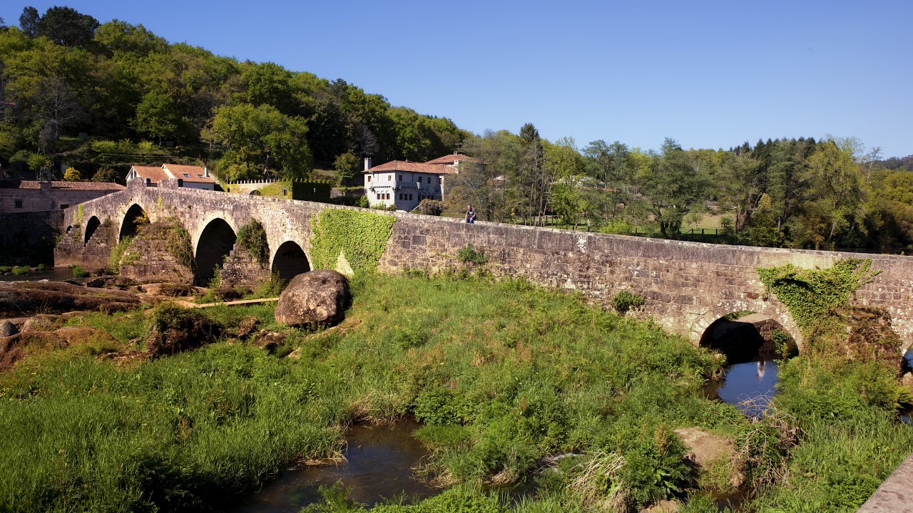 Pleno extraordinario. 04/02/2026