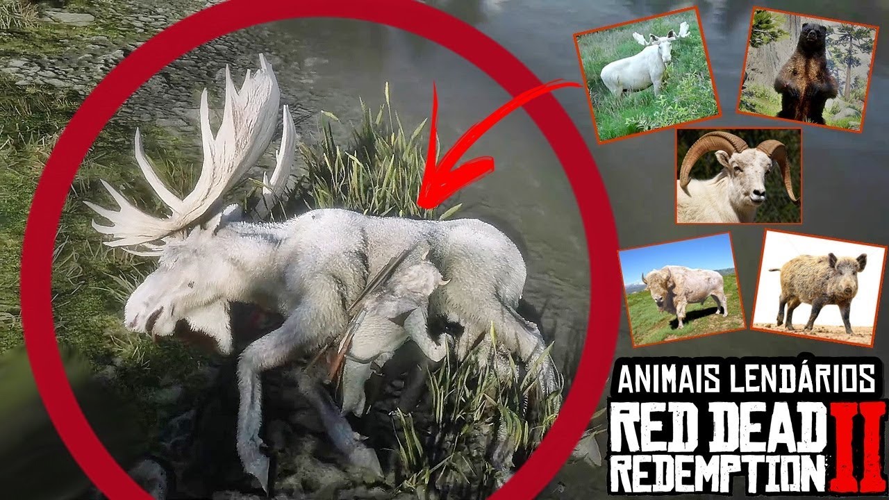 COMO PEGAR TODOS OS ANIMAIS LENDÁRIOS (LOCALIZAÇÕES) - RED DEAD REDEMPTION 2